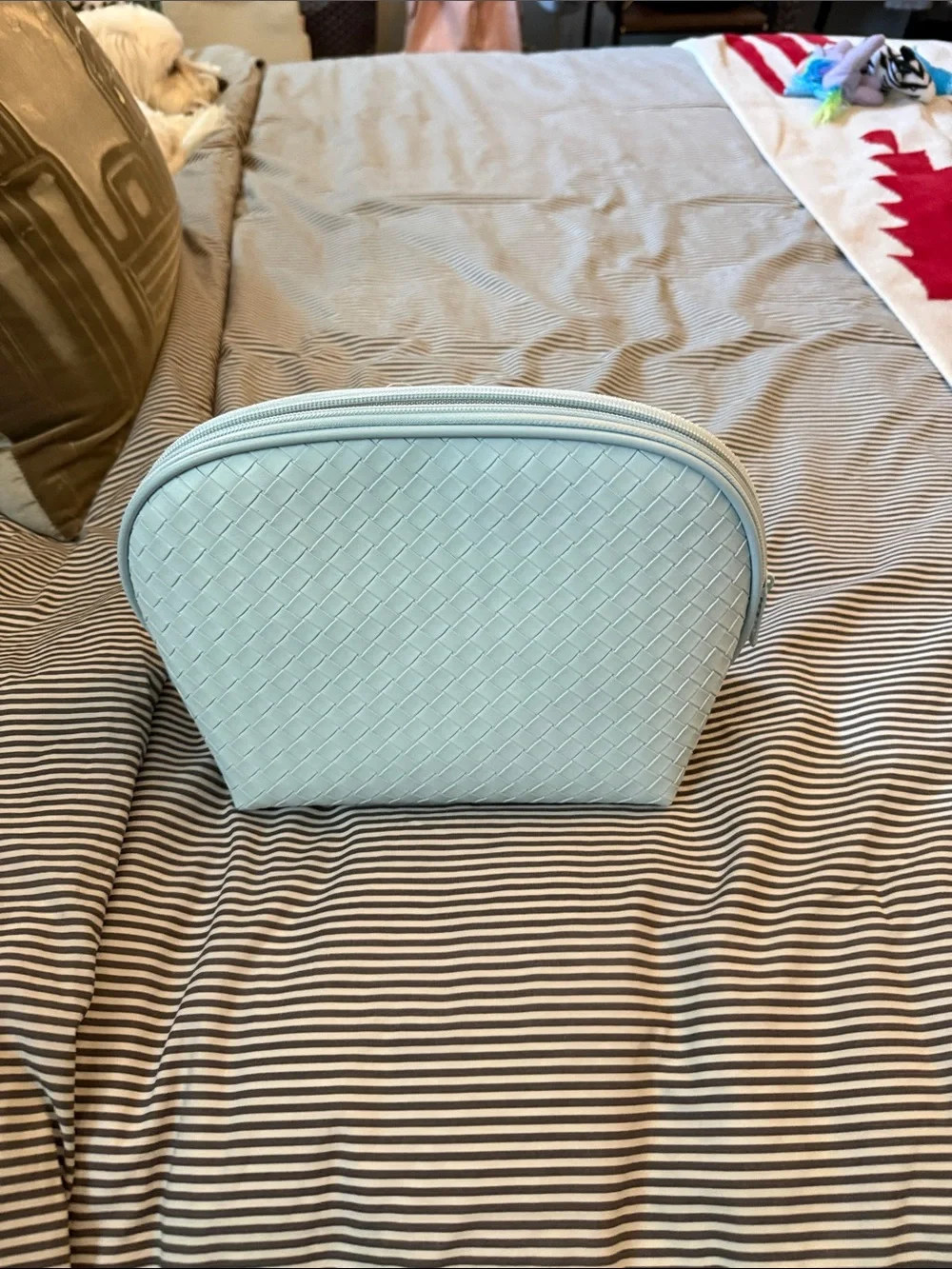 Light Blue Floral-Lined Women’s Cosmetic Pouch